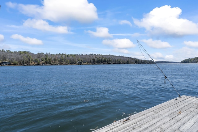 dock area featuring a view of trees and a water view