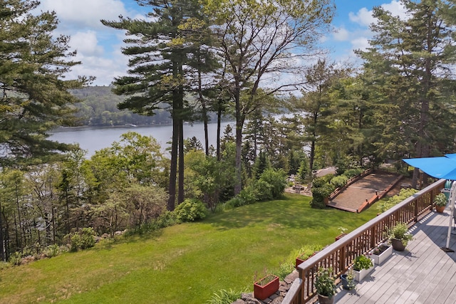 33 Taylor Rd, Westport Island, ME 04578 - view of green lawn featuring a deck with water view
