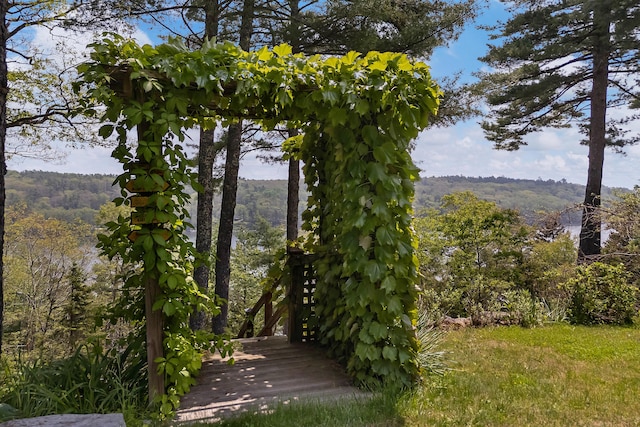 33 Taylor Rd, Westport Island, ME 04578 - view of property's community featuring a forest view