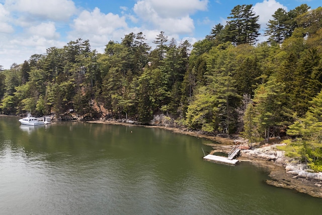 33 Taylor Rd, Westport Island, ME 04578 - water view with a forest and a floating dock