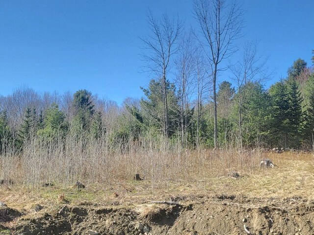 view of local wilderness with a view of trees