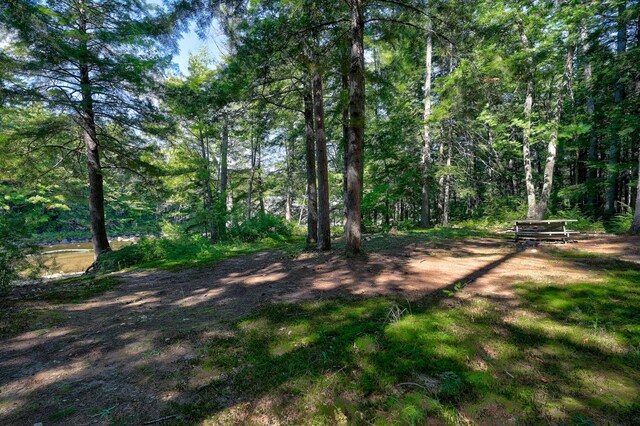 TBD The Meadows Rd, Bartlett, NH 03860