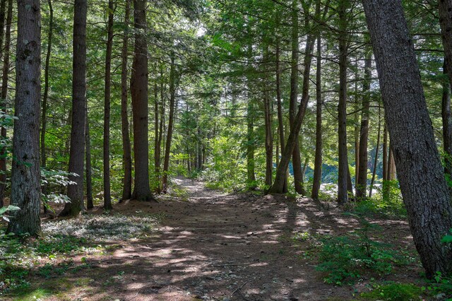 TBD The Meadows Rd, Bartlett, NH 03860