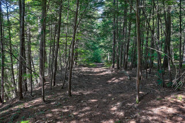 TBD The Meadows Rd, Bartlett, NH 03860