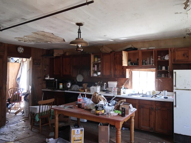 kitchen with a healthy amount of sunlight, light countertops, freestanding refrigerator, and a sink