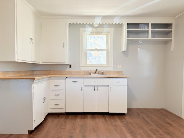 171 Granite St, Mexico, ME 04257 - kitchen featuring crown molding, a sink, light countertops, white cabinetry, and dark wood-style floors