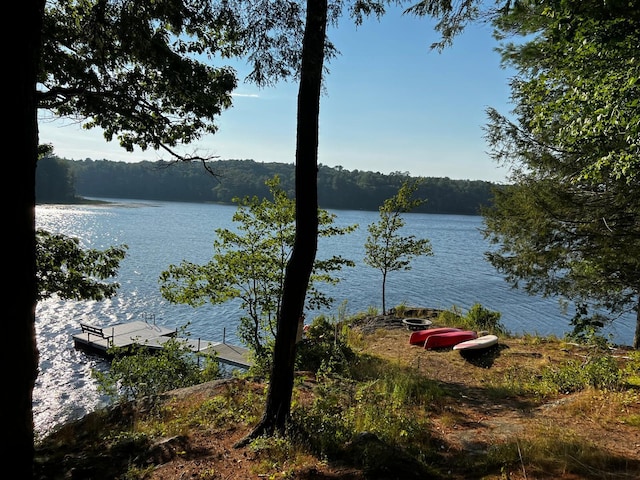 1 Mccracken Ln, Bristol, ME 04539 - water view with a forest and a dock