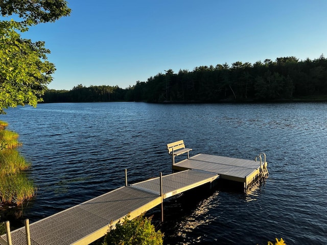 1 Mccracken Ln, Bristol, ME 04539 - dock area featuring a water view and a forest view