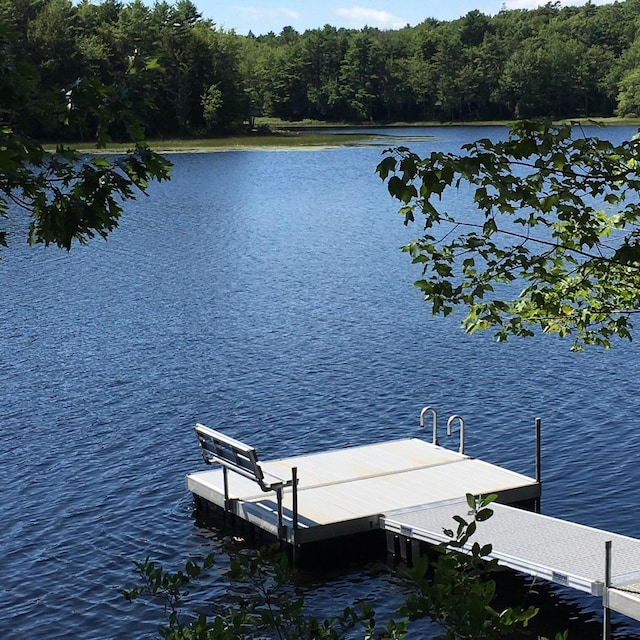 1 Mccracken Ln, Bristol, ME 04539 - dock featuring a water view and a wooded view