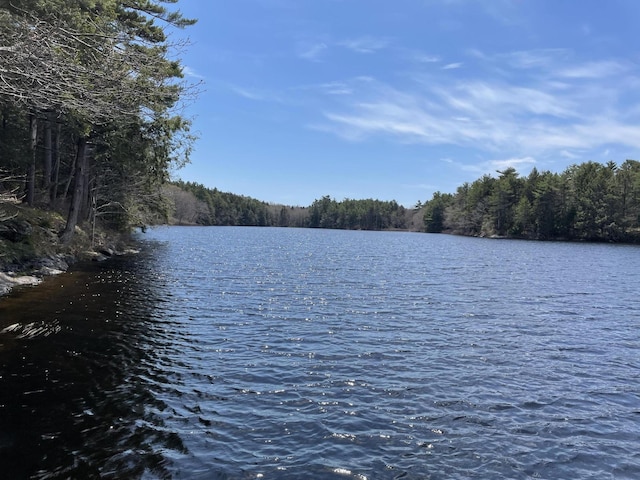1 Mccracken Ln, Bristol, ME 04539 - water view featuring a heavily wooded area