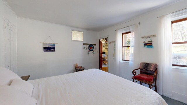 bedroom with multiple windows