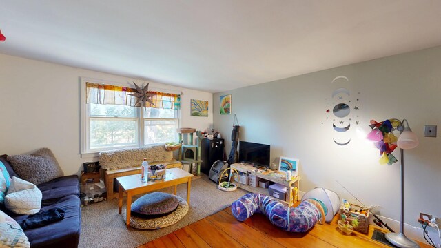 living area featuring wood finished floors