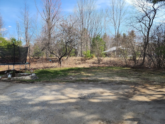 view of yard with a trampoline