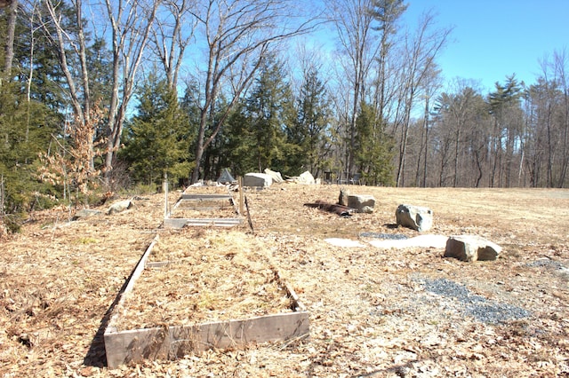 view of yard featuring a vegetable garden