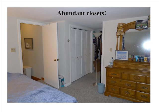 bedroom with a closet and carpet flooring