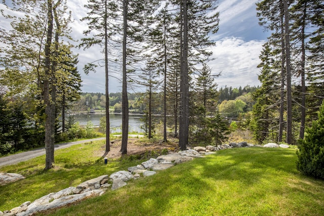 20 Campbell Rd, Southport, ME 04576 - view of grassy yard featuring a water view and a forest view