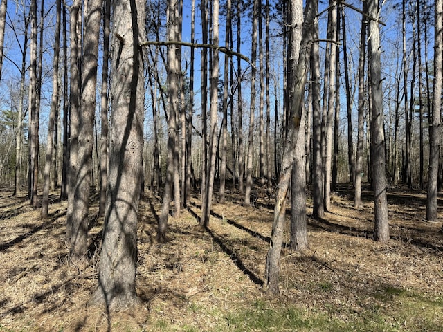 365 Snakeroot Rd, Pittsfield, ME 04967 - view of local wilderness