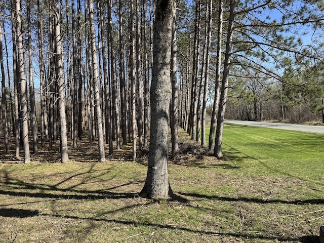 365 Snakeroot Rd, Pittsfield, ME 04967 - view of yard