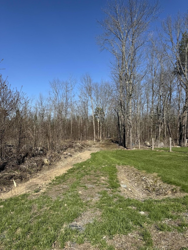 365 Snakeroot Rd, Pittsfield, ME 04967 - view of road
