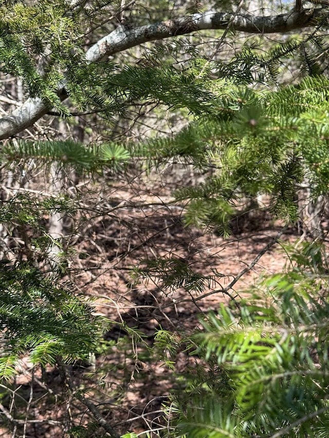 LOT7-10 US Rte 1, Robbinston, ME 04671