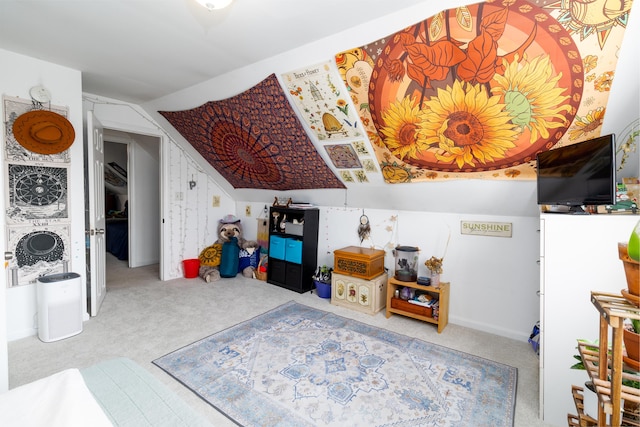 bonus room with carpet