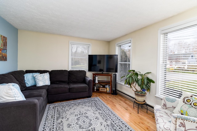living room featuring light wood-style flooring