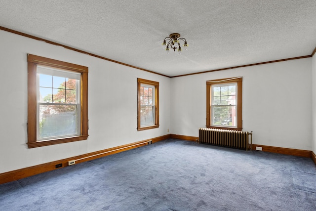 175 Summer St, Auburn, ME 04210 - carpeted empty room with radiator heating unit, ornamental molding, and a textured ceiling