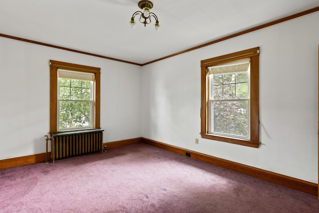 175 Summer St, Auburn, ME 04210 - empty room featuring radiator, crown molding, and carpet