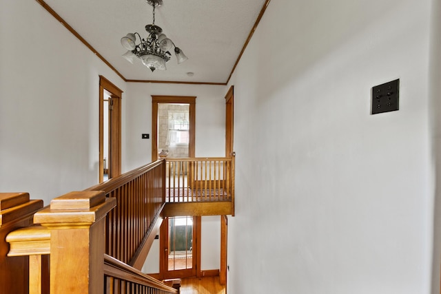 175 Summer St, Auburn, ME 04210 - stairway with ornamental molding, a chandelier, and wood finished floors