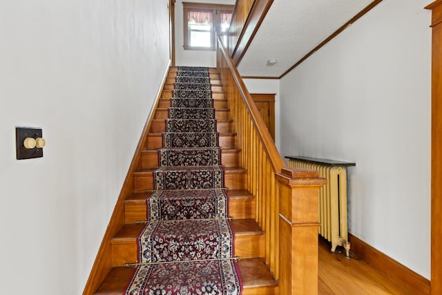 175 Summer St, Auburn, ME 04210 - stairway featuring wood finished floors, radiator, and crown molding