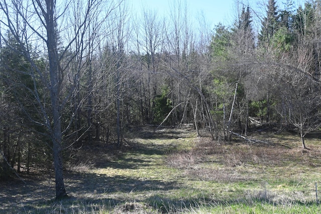 18 Castle Rd, Harmony, ME 04942 - view of local wilderness