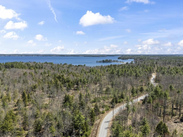 9 Jenni Ln, Standish, ME 04085 - drone / aerial view featuring a view of trees and a water view