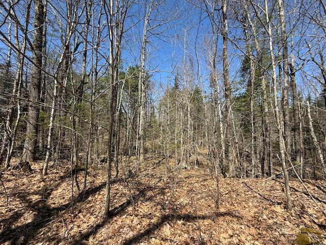 M10, L71 Logan Ridge Rd, Chelsea, ME 04330
