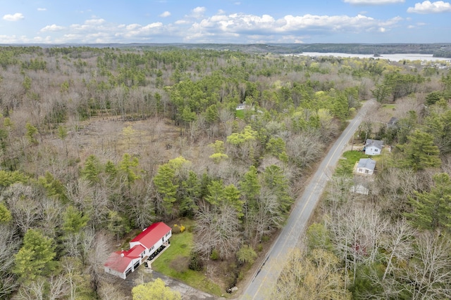 aerial view of a forest