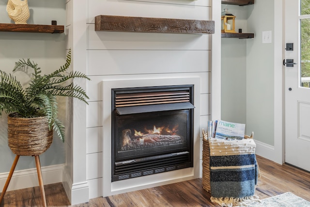 detailed view of a glass covered fireplace and wood finished floors