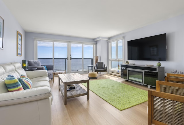 living room featuring a baseboard radiator and wood finished floors