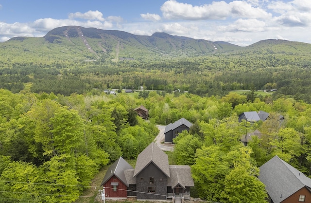 28 Fisher Rd, Newry, ME 04261 - view of subject property featuring a forest and a mountain backdrop