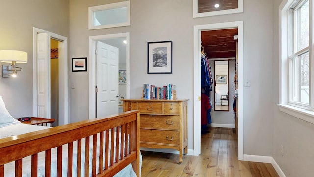 bedroom featuring light wood-style floors, a closet, a spacious closet, and multiple windows