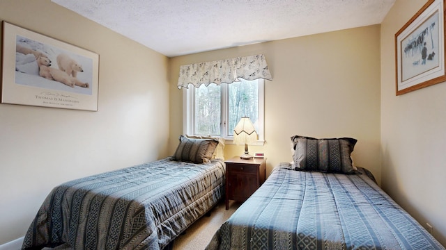 bedroom with carpet floors and a textured ceiling