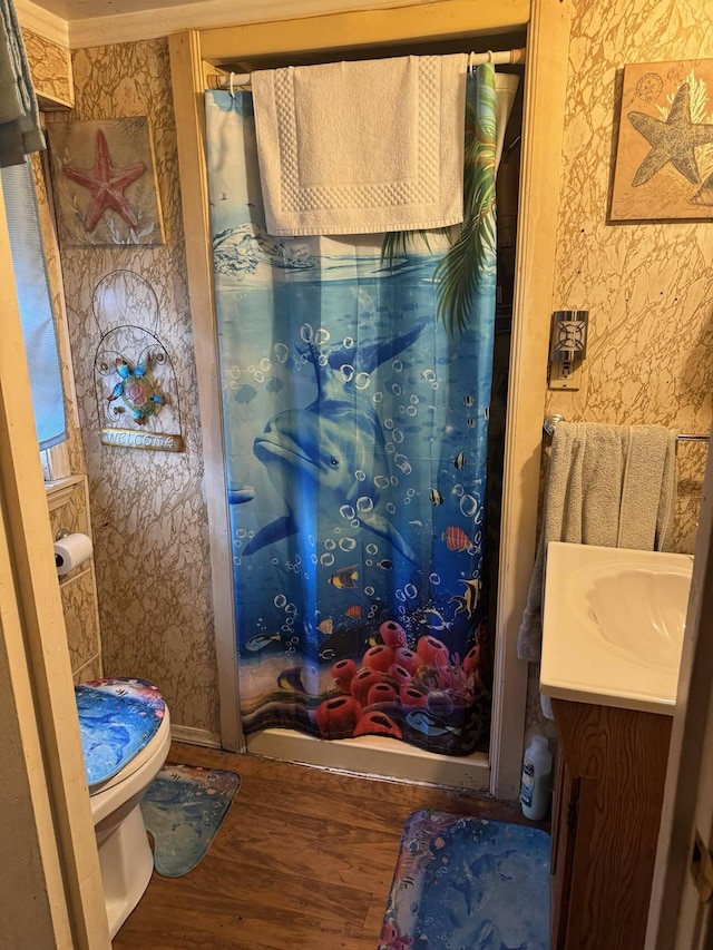 full bathroom with vanity, wood finished floors, and toilet