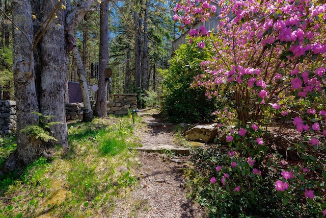 20 Giant Slide Rd, Mount Desert, ME 04660 - view of yard