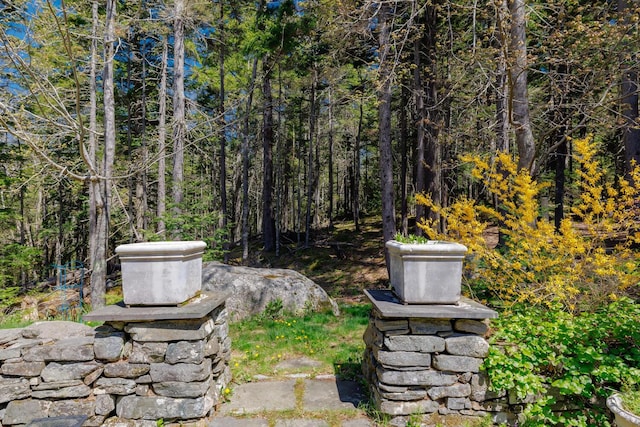 20 Giant Slide Rd, Mount Desert, ME 04660 - view of yard featuring a wooded view