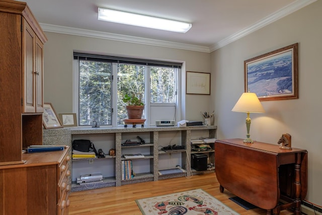 20 Giant Slide Rd, Mount Desert, ME 04660 - office featuring light wood-style floors, ornamental molding, and baseboard heating