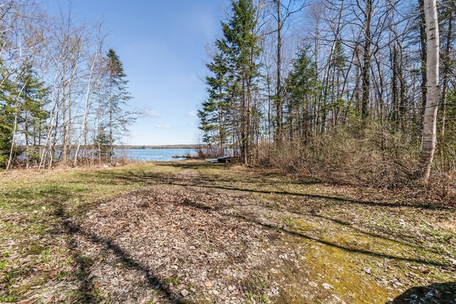 MAP5 Canadian Geese Dr, Newport, ME 04953