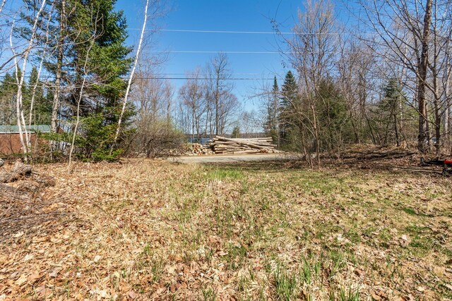 MAP5 Canadian Geese Dr, Newport, ME 04953