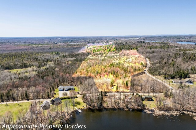 MAP5 Canadian Geese Dr, Newport, ME 04953