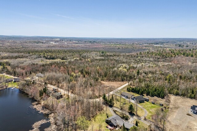 MAP5 Canadian Geese Dr, Newport, ME 04953