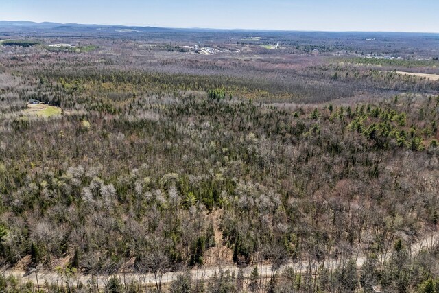 MAP5 Canadian Geese Dr, Newport, ME 04953