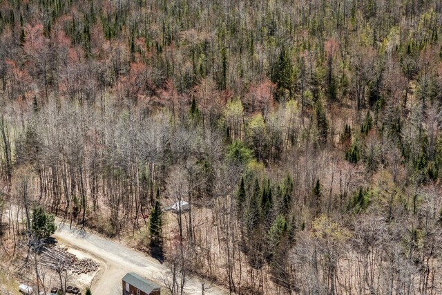 MAP5 Canadian Geese Dr, Newport, ME 04953