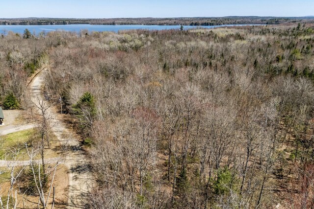 MAP5 Canadian Geese Dr, Newport, ME 04953